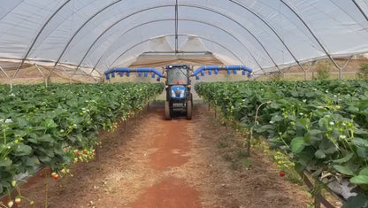 BERRY STAR - BLUEBERRY & VINEYARD SPRAYER