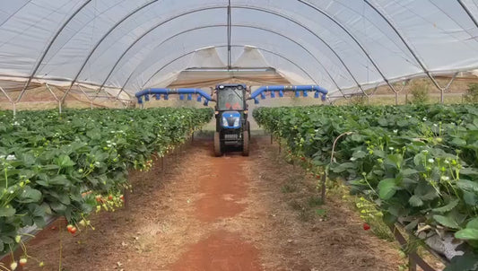 BERRY STAR - BLUEBERRY & VINEYARD SPRAYER